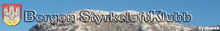 Sydnorsk